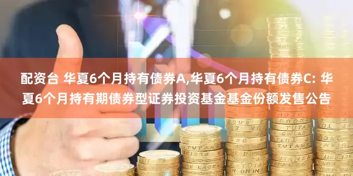 配资台 华夏6个月持有债券A,华夏6个月持有债券C: 华夏6个月持有期债券型证券投资基金基金份额发售公告